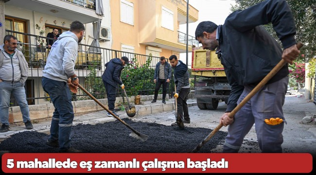 5 mahallede eş zamanlı çalışma başladı