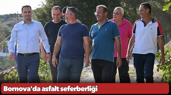 Bornova'da asfalt seferberliği