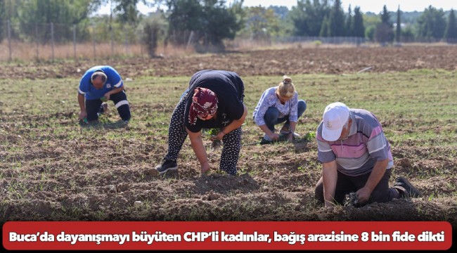 Buca’da dayanışmayı büyüten CHP’li kadınlar, bağış arazisine 8 bin fide dikti