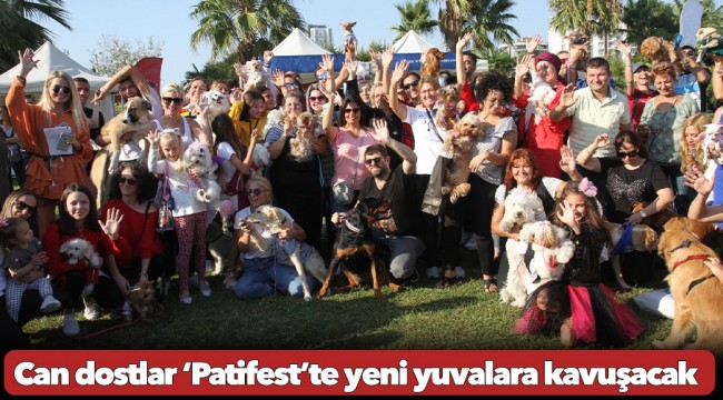 Can dostlar ‘Patifest’te yeni yuvalara kavuşacak