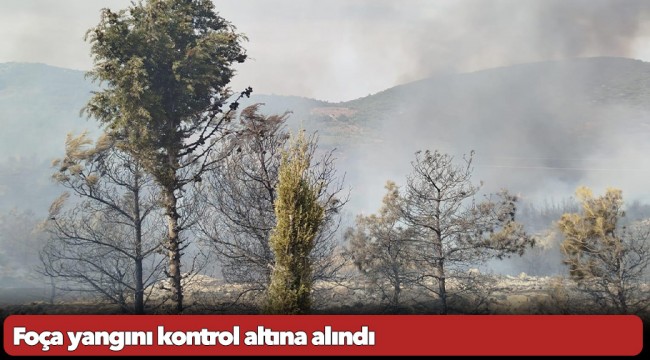 Foça yangını kontrol altına alındı