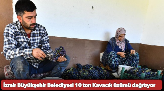 İzmir Büyükşehir Belediyesi 10 ton Kavacık üzümü dağıtıyor