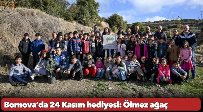 Bornova’da 24 Kasım hediyesi: Ölmez ağaç