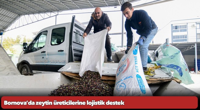 Bornova’da zeytin üreticilerine lojistik destek