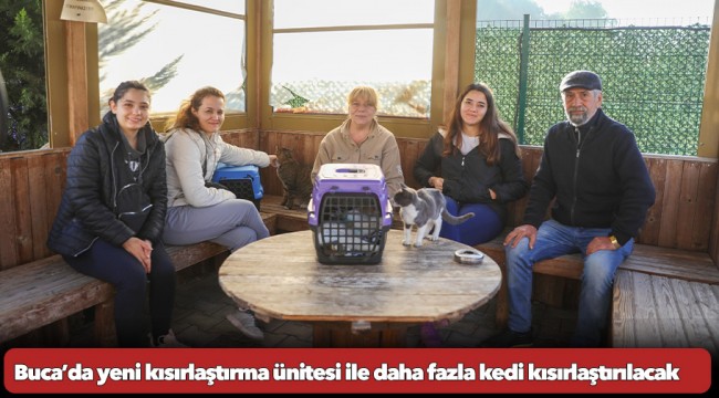 Buca’da yeni kısırlaştırma ünitesi ile daha fazla kedi kısırlaştırılacak