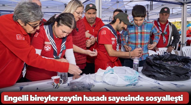 Engelli bireyler zeytin hasadı sayesinde sosyalleşti