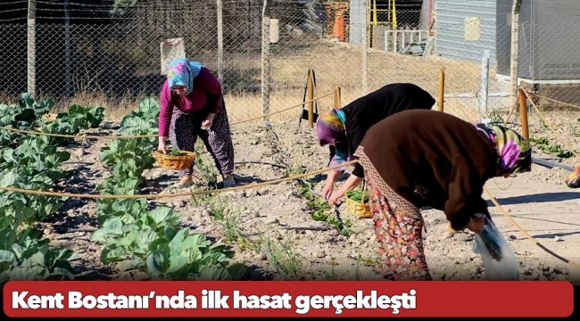 Kent Bostanı’nda ilk hasat gerçekleşti