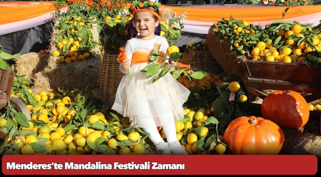 Menderes’te Mandalina Festivali Zamanı