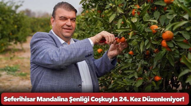 Seferihisar Mandalina Şenliği Coşkuyla 24. Kez Düzenleniyor!