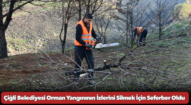 Çiğli Belediyesi Orman Yangınının İzlerini Silmek İçin Seferber Oldu