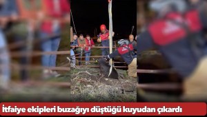 İtfaiye ekipleri buzağıyı düştüğü kuyudan çıkardı