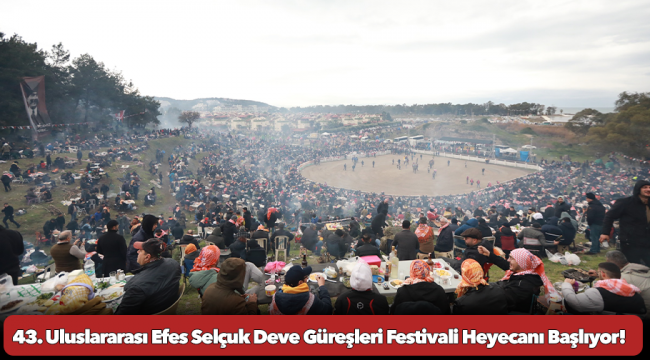 43. Uluslararası Efes Selçuk Deve Güreşleri Festivali Heyecanı Başlıyor!