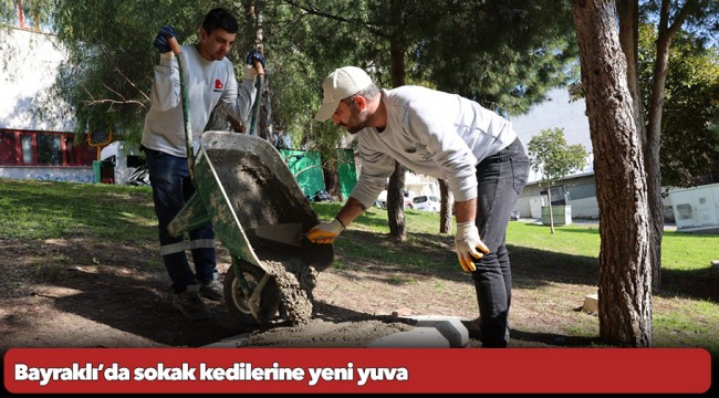 Bayraklı’da sokak kedilerine yeni yuva