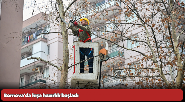 Bornova’da kışa hazırlık başladı