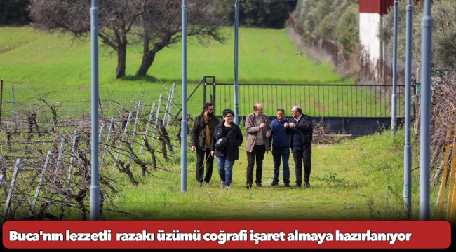 Buca'nın lezzetli razakı üzümü coğrafi işaret almaya hazırlanıyor