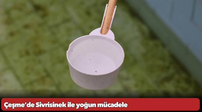 Çeşme’de Sivrisinek ile yoğun mücadele 