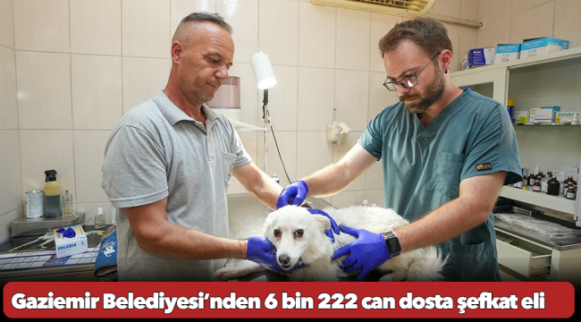 Gaziemir Belediyesi’nden 6 bin 222 can dosta şefkat eli