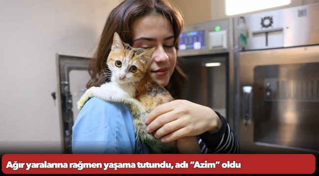  Ağır yaralarına rağmen yaşama tutundu, adı “Azim” oldu